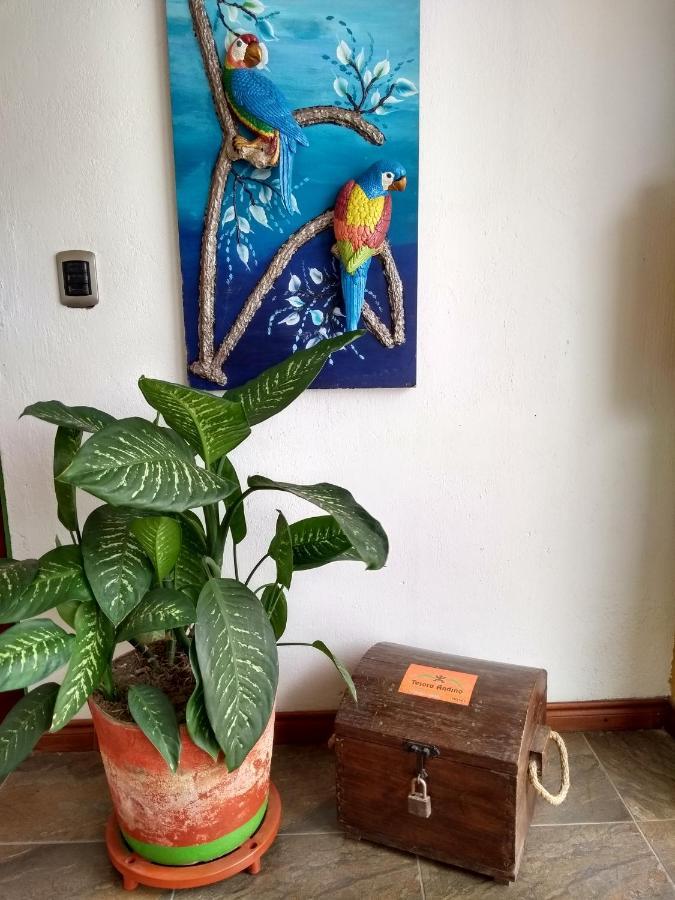 Tesoro Andino Hotel La Tebaida Luaran gambar